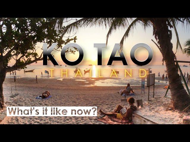 Ko Tao, Thailand  - What's it Like Now? Watch Before You Go | Thailand Travel