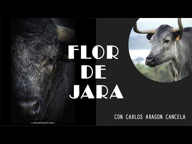 GANADERIA FLOR DE JARA