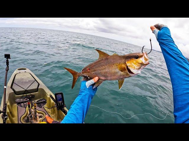 Fishing HUGE Live Baits from a Kayak in the Pacific || #FieldTrips Panama