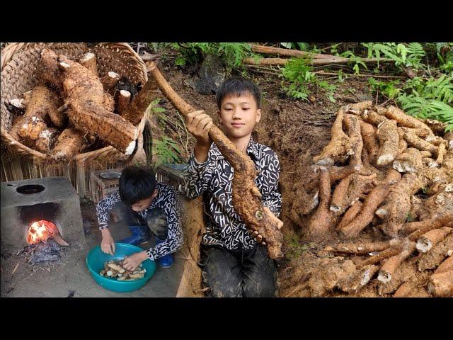 Full video: Harvesting vegetables and fruits to sell - The off-grid life of orphan boy NAM