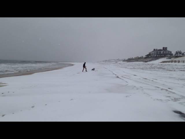 Llewella at Georgica Beach on the snow 3/16