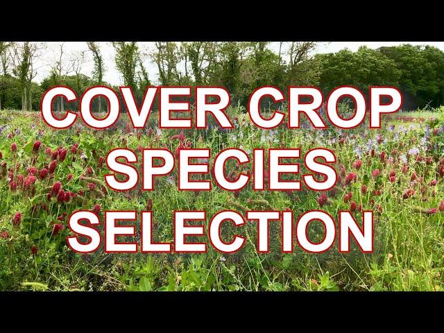 Considerations for Selecting a Cover Crop Species