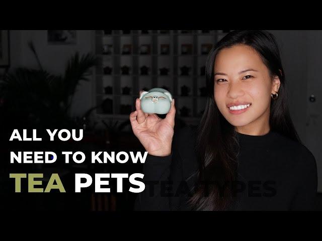 Introduction to Tea Pets | Tea with Brigitte