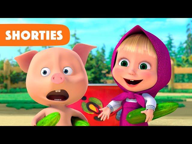 Masha and the Bear Shorties  NEW STORY  Come on let's share (Episode 20) 