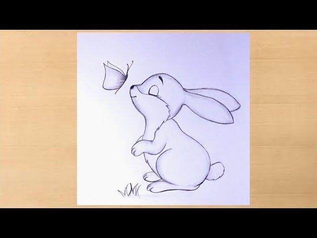 Simple and easy pencil drawing of bunny with butterfly/butterflydrawing with rabbit