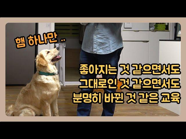 교육을 거듭할수록 아이들은 눈에 띄게 달라집니다.ㅣ금동 13회차