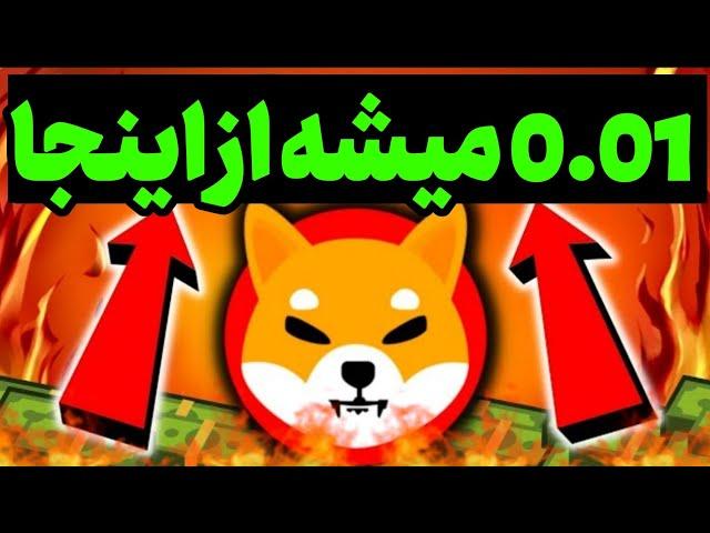 شیبا از اینجا به 0.01 می رسه تحلیل شيبا بیبی قاتل هسمتر بازی بیبی دوج با رکورد جهانی تحلیل فلوکی