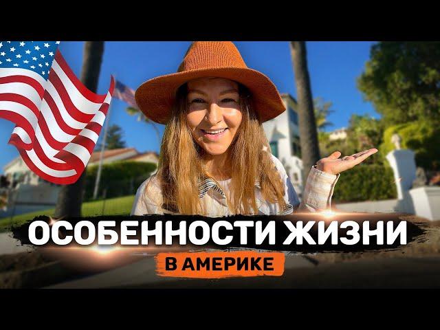 Особенности жизни в Америке | Часть 1 | У меня новости