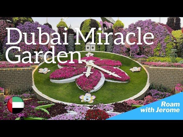 Dubai Miracle Garden 2023 | The Amazing Garden in UAE [4K]