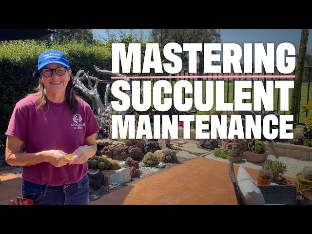 Walkabout Wednesday | New Succulent Maintenance Workshop!