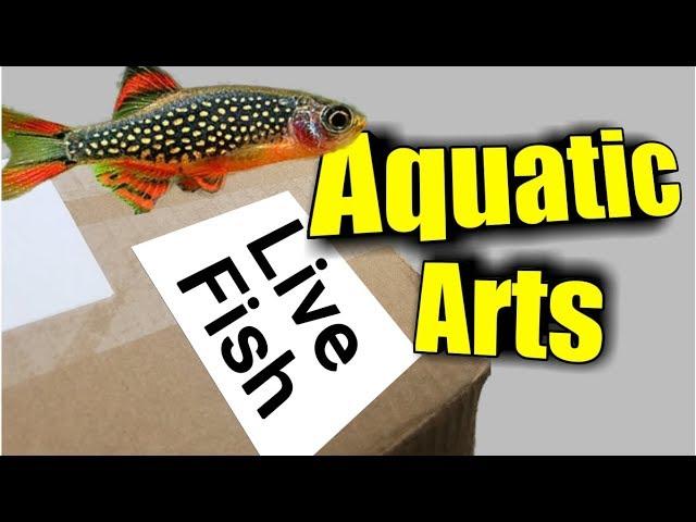 HUGE Aquatic Arts Unboxing | Getting *NEW* Fish, Shrimp, and Snails