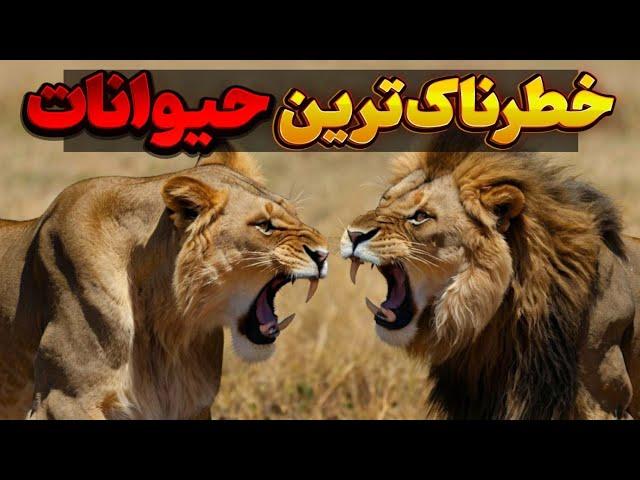 دانستنی خطرناکترین حیوانات:درنده ترین و خطرناک‌ترین حیوانات دنیا نمیدانستید