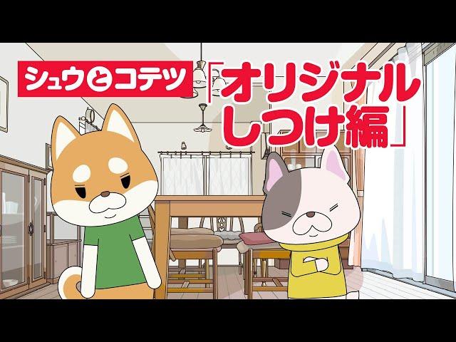 シュウとコテツ「オリジナルしつけ編」