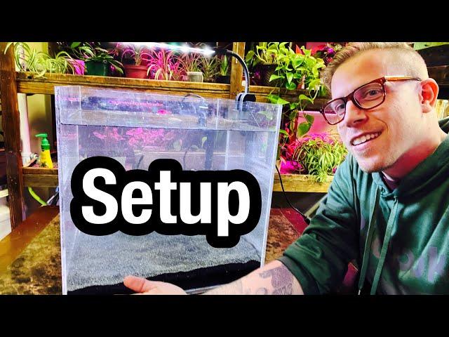 How to Set Up a Fish Aquarium at Home - Beginners Guide