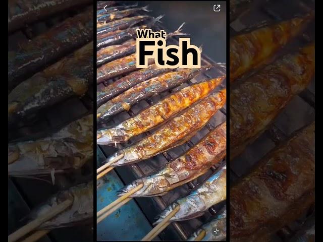 What fish?                                  #delicious #crime #food #foryou #fish #fishing #video