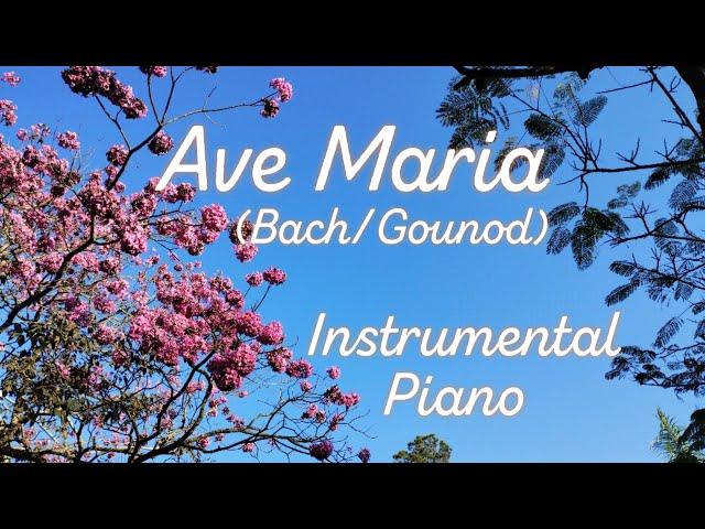 Ave Maria | Bach/Gounod | Instrumental Piano