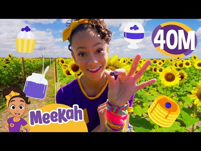 Meekah Picks Blueberries | Educational Videos for Kids | Blippi and Meekah Kids TV