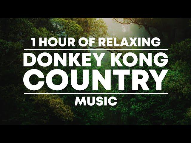 1 Hour of Relaxing 'Donkey Kong Country' Music