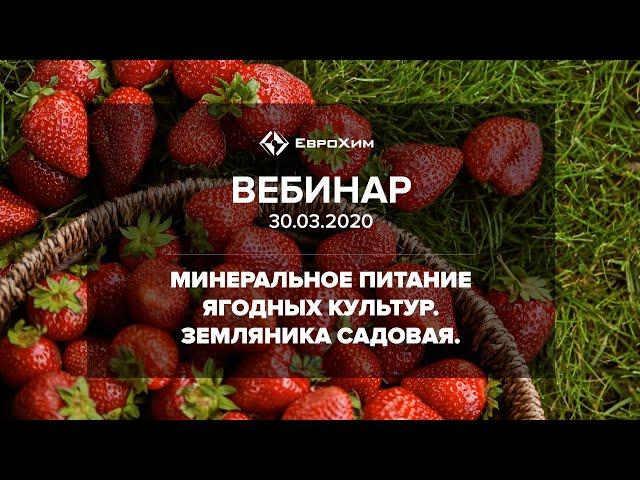 МИНЕРАЛЬНОЕ ПИТАНИЕ ЯГОДНЫХ КУЛЬТУР. ЗЕМЛЯНИКА САДОВАЯ.