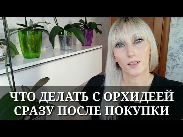 ЧТО ДЕЛАТЬ С ОРХИДЕЕЙ СРАЗУ ПОСЛЕ ПОКУПКИ В МАГАЗИНЕ / Купили, подарили орхидею, что с ней делать?