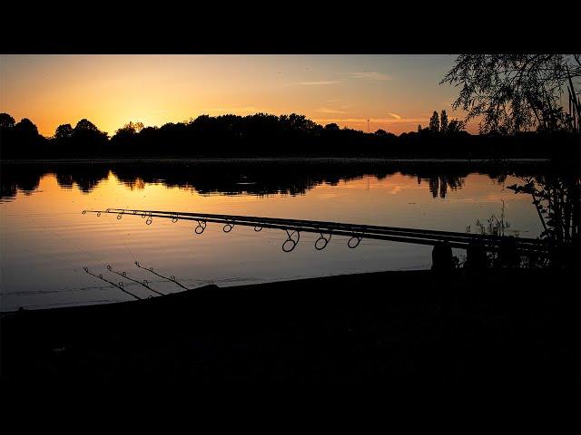 Carp Fishing a MEGA Oxfordshire Lake FULL of BIG carp!