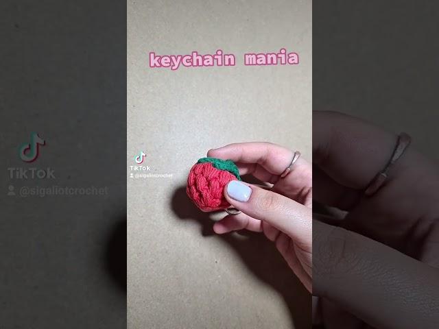 crochet keychain ️️  שגעון מחזיקי מפתחות 