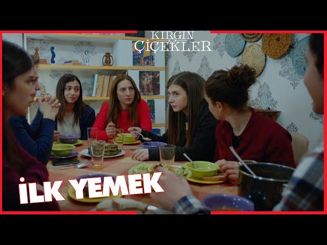 Kırgın Çiçekler Özel Kısa Bölümler | 251