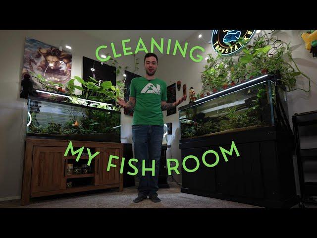 Cleaning All My Tanks!