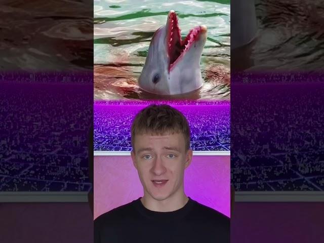 Почему дельфины Очень опасны