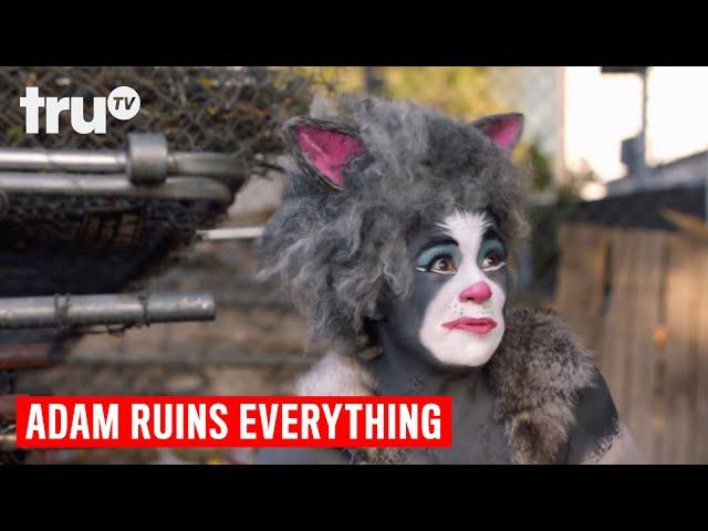 Adam Ruins Everything - Why Going Outside is Bad for Cats