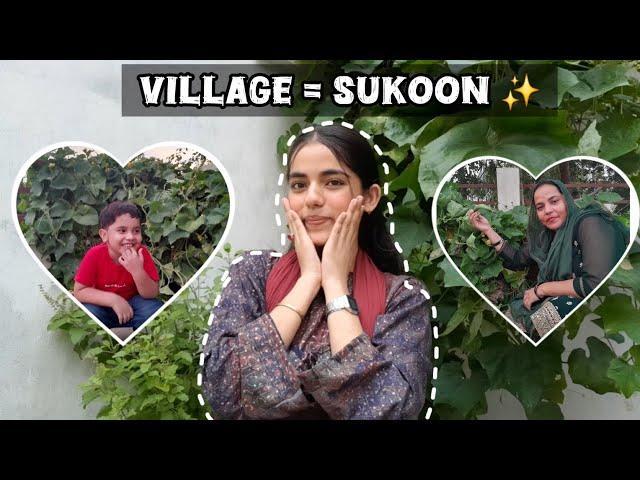 Dadi ki gardening ️ | Sukoon ke do pal 