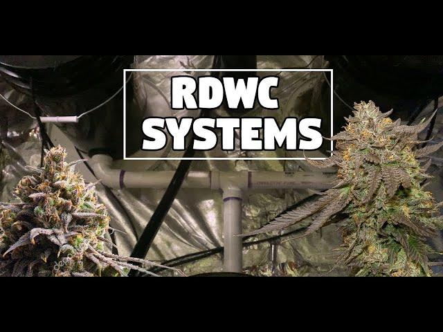 RDWC System Build  - DIY Recirculating Water Culture