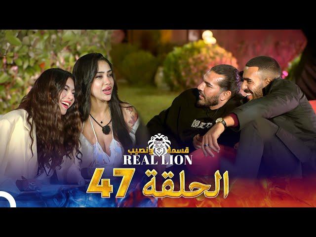 قسمة ونصيب: Real Lion - الحلقة 47