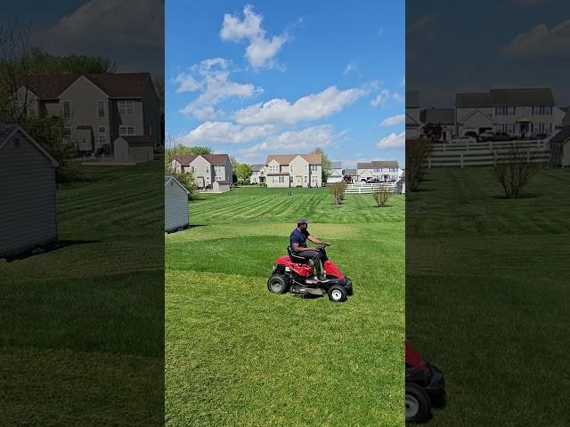 Grass Cutting|Lawncare | Lawncare Tips| Overgrown lawn