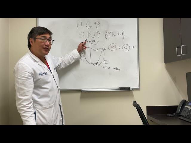 Horizontal gaze palsy vs. abducens nerve palsy