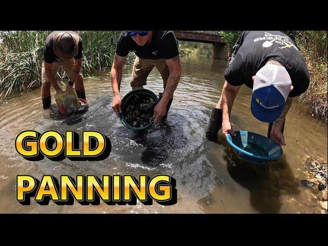 We Find GOLD Panning A New Creek!