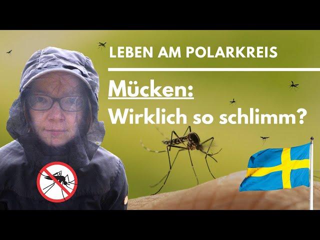  Schweden: Wie schlimm sind die Mücken im Sommer?