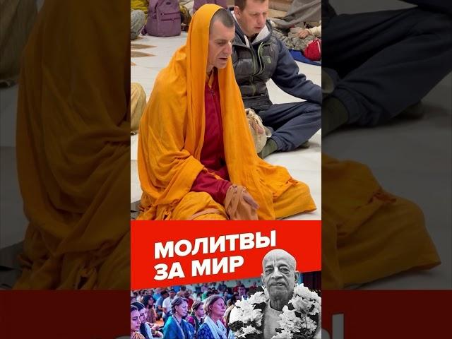 ДЖАПА #бхакти #вайшнавизм #духовная_жизнь #святоеимя #махамантра #медитация #shorts