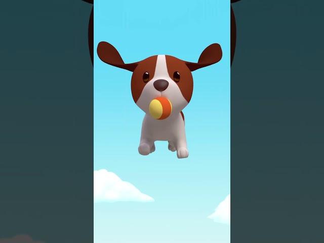 LETS PLAY FETCH WITH HERO!  | Leo the Wildlife Ranger | Kids Cartoon | #shorts #animals #animation