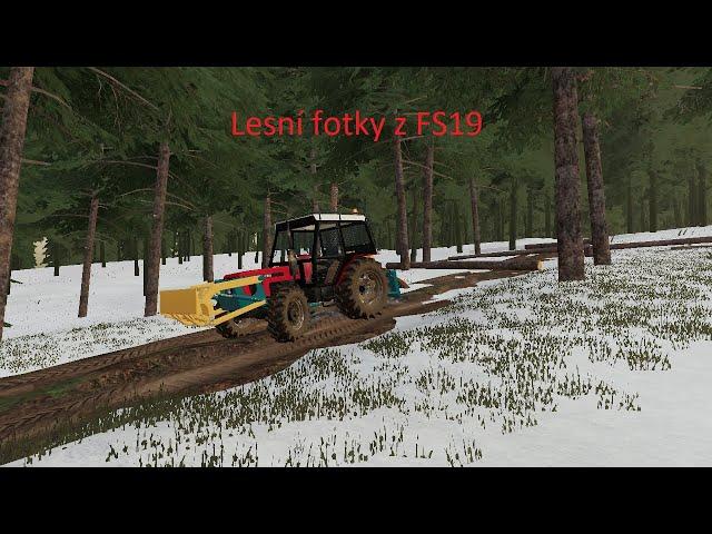 FS19 Photo From The Forest(Zetor Nejlepčý)