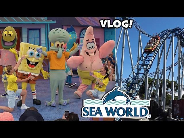 NEW! Sea World Gold Coast Visit & Update! | December 2024 | Theme Park Video