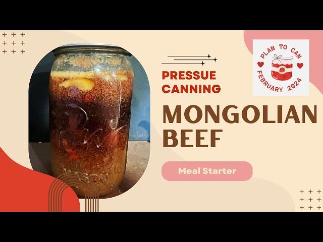 Mongolian Beef //  Plan to Can 2024// Jeni Gough