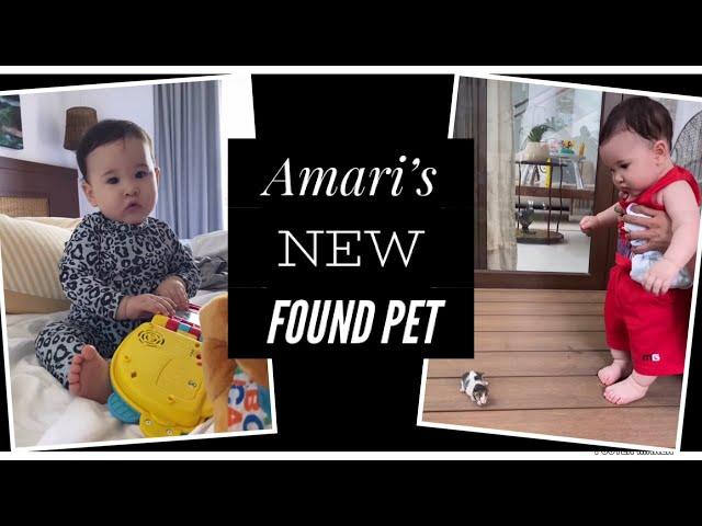 Amari Crawford new found pet | Coleen Garcia-Crawford || Billy Crawford