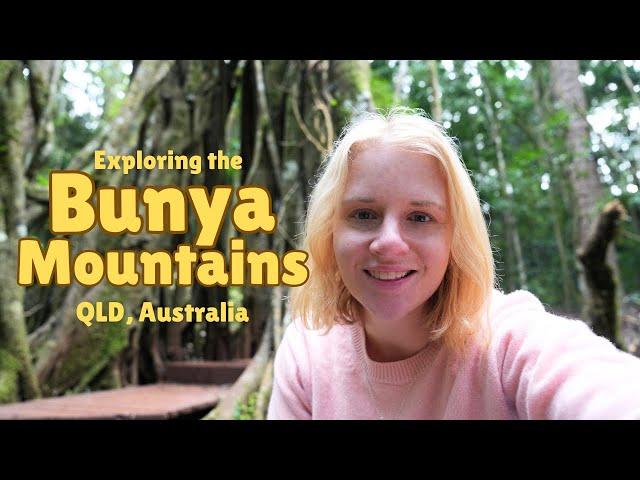 A Cosy Weekend in the Hidden Mountains of Queensland | Bunya Mountains, Australia