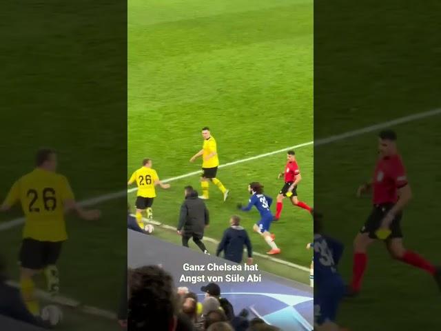 Süle Abi Stress mit Chelsea