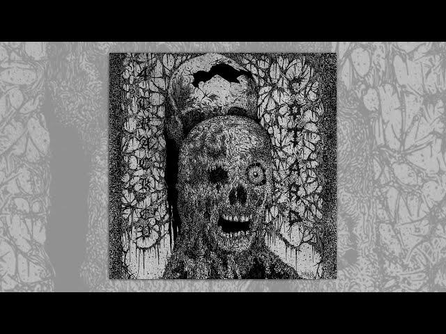 Cotärd - "s/t 2022" (Full EP)