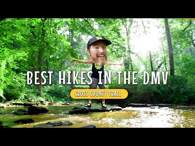 Hiking From Oakton To Reston On The SNEAKY FUN Cross County Trail | Best Hikes In The DMV