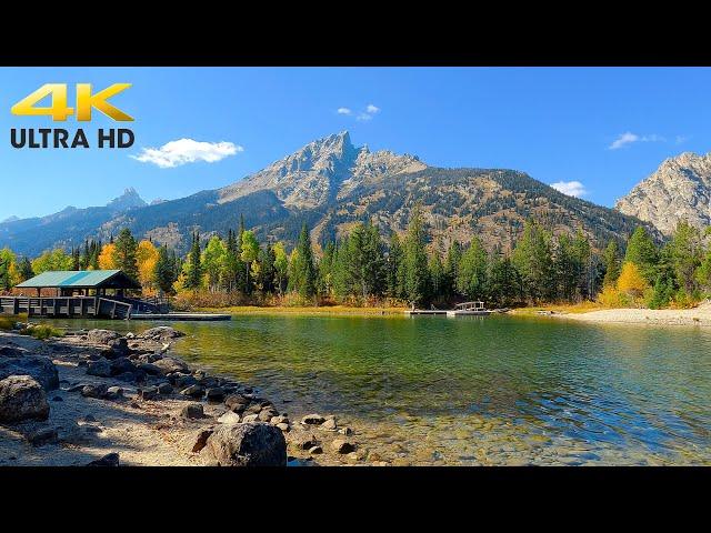 Grand Teton National Park Autumn Colors Scenic Drive 4K