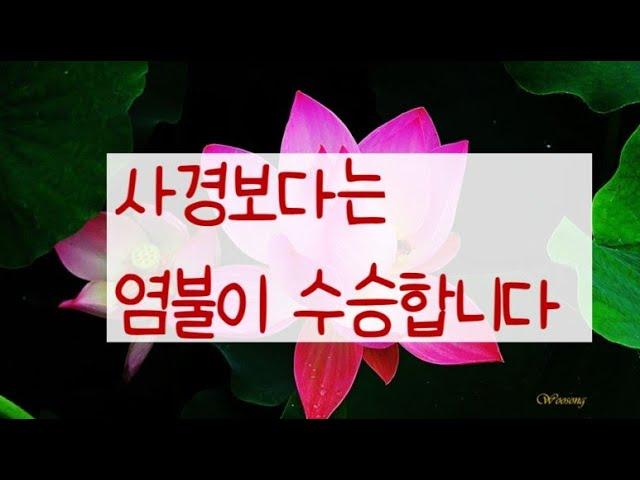 308. 미타행자 12. / 사경보다는 염불이 수승합니다 (2024. 1. 31)