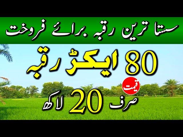 80 Acer Land for sale in punjab pakistan | Agriculture  Land for sale | Zamim for sale | Ep 66